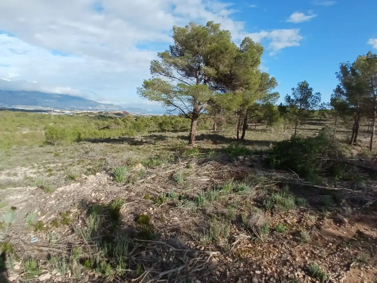 Terrain rustique à vendre à Avinguda el Copet 1, imagen 6