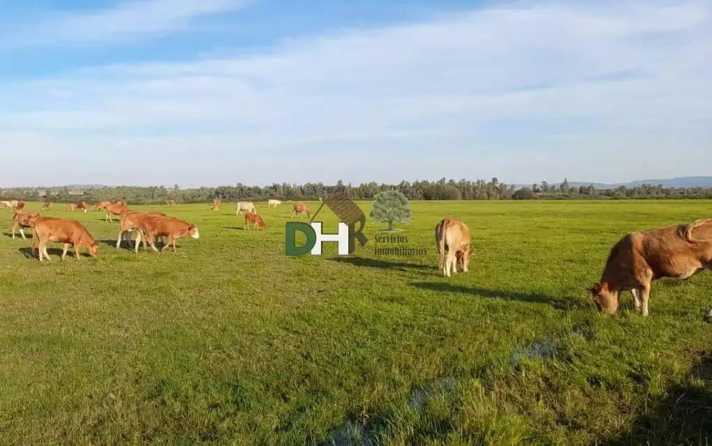 Terreni e lotti in vendita a Ruta de la Plata, imagen 2