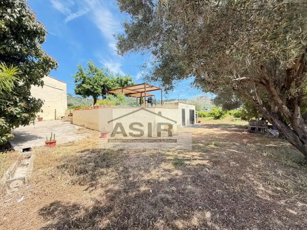 Casa o chalet en venta en Alzira con Terraza y Piscina