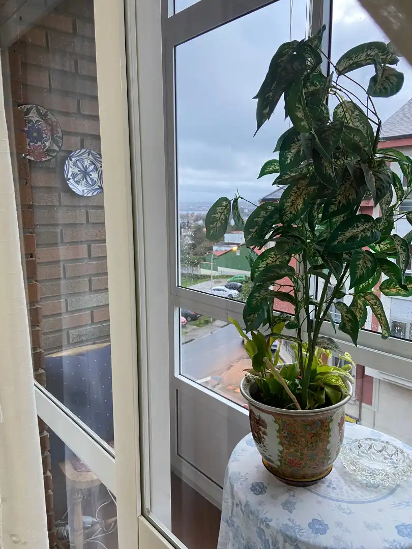 Flat for sale in A Malata - Catabois - Ciudad Jardín, imagen 7
