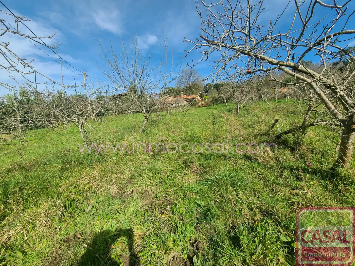 Grundstücke und Bauplätze zum Verkauf in POLIGONO 51 PARCELA 132, imagen 9