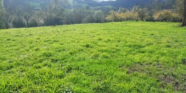 Terreny residencial en venda a Las Regueras, imagen 21