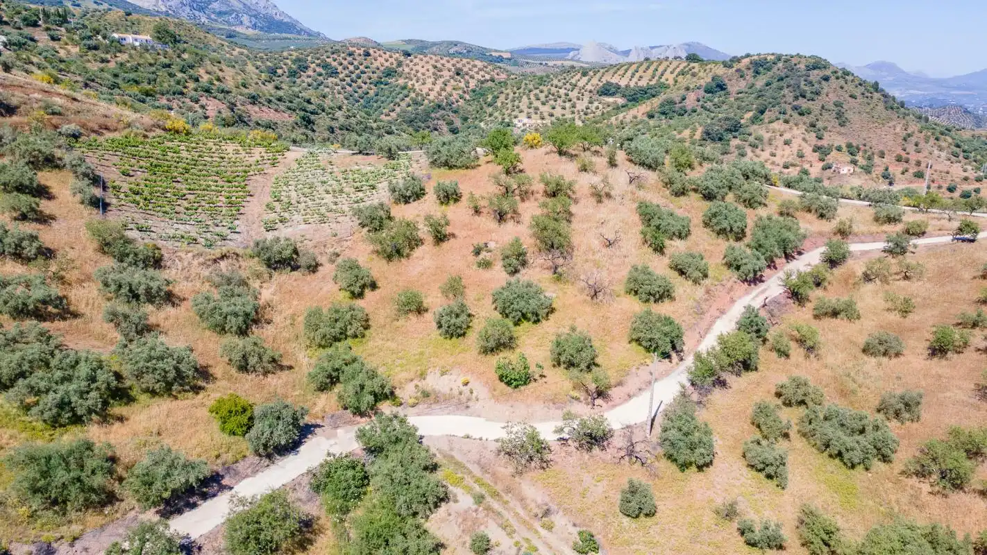 Finca rústica en venta en Colmenar con Calefacción y Jardín privado