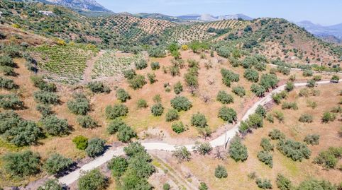 Foto 5 de Finca rústica en venta en Polígono 18 Parcela 12 Moriscos. Colmenar, Colmenar, Málaga