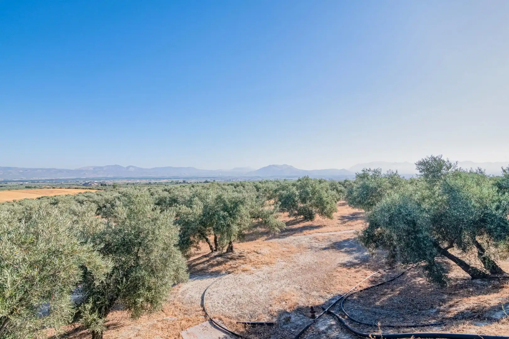 Apartments for sale in Santa Fe