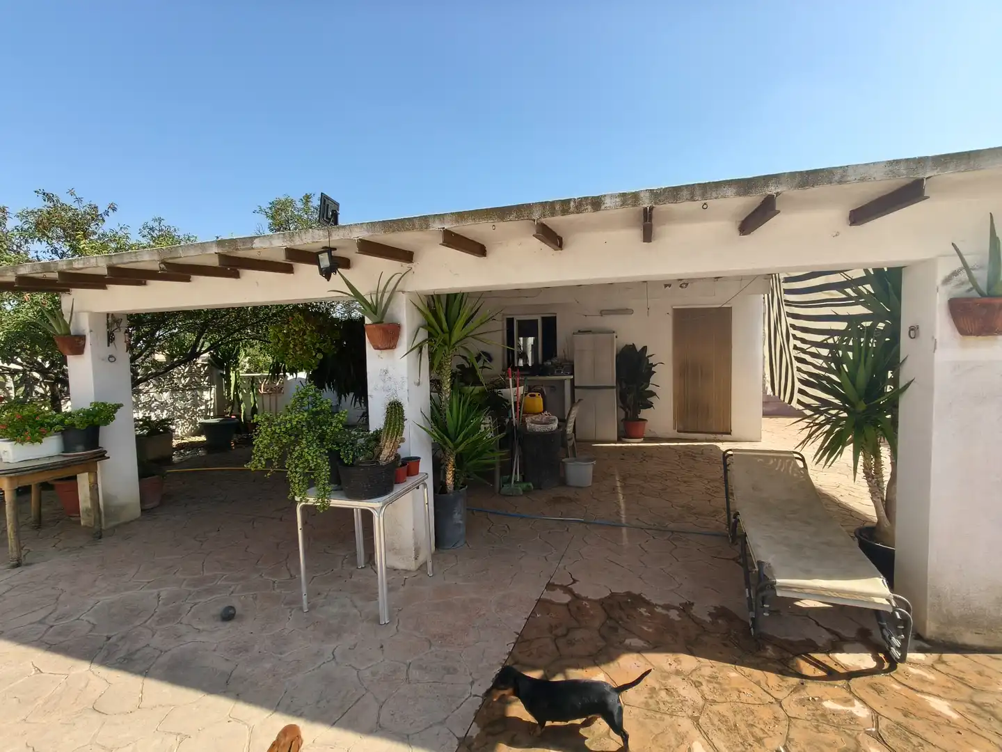 Jardín de Casa o chalet en venta en Montroi / Montroy con Jardín privado, Terraza y Trastero
