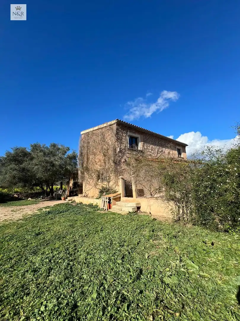 Vista exterior de Finca rústica en venta en Costitx