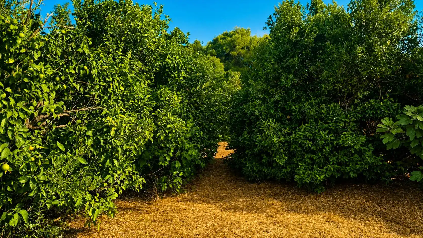 Wohnbaugrundstück zum Verkauf in La Banda - Campo de Fútbol, imagen 18
