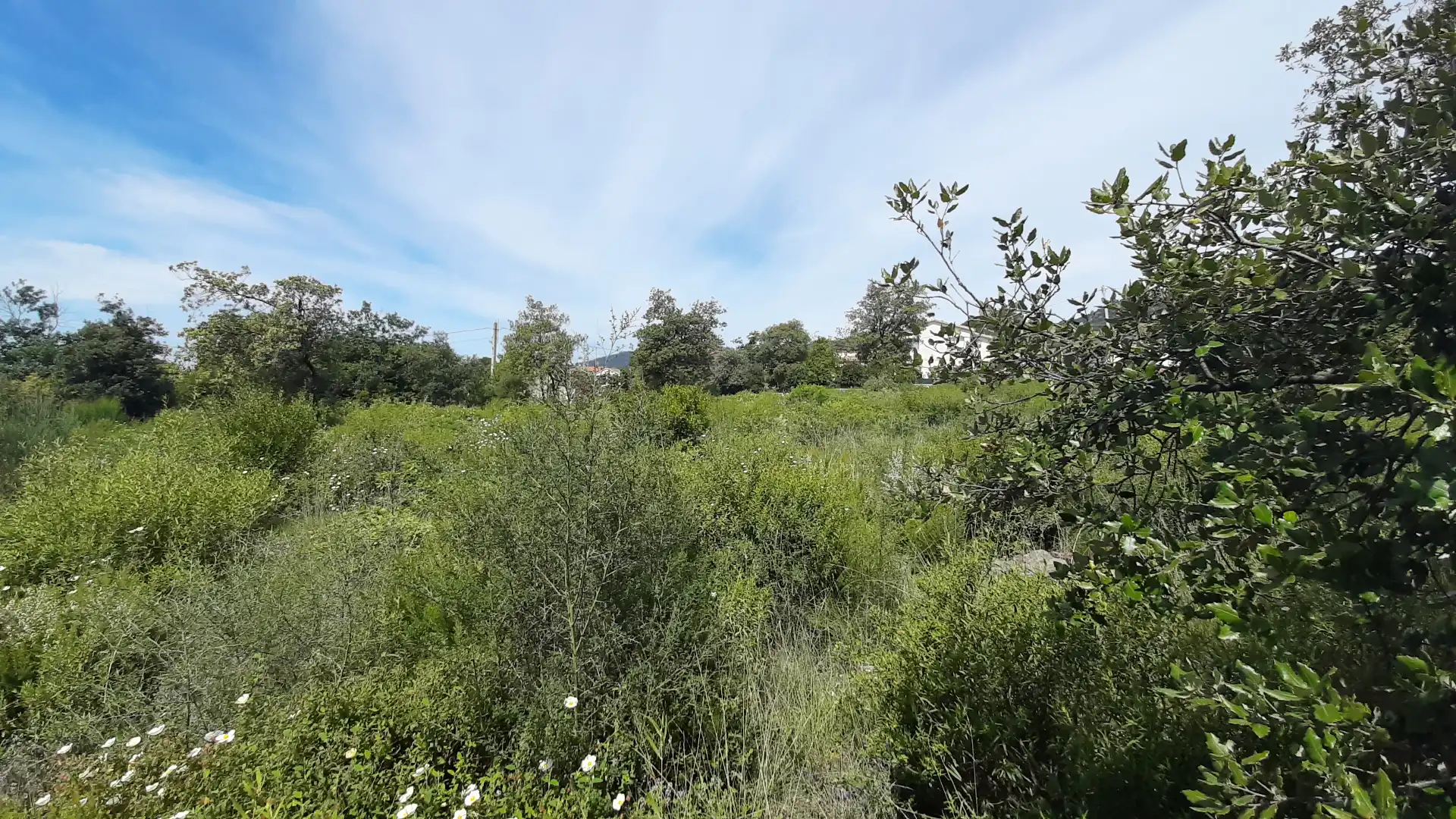 Residential land for sale in Carrer dels Tiŀlers 5, imagen 4