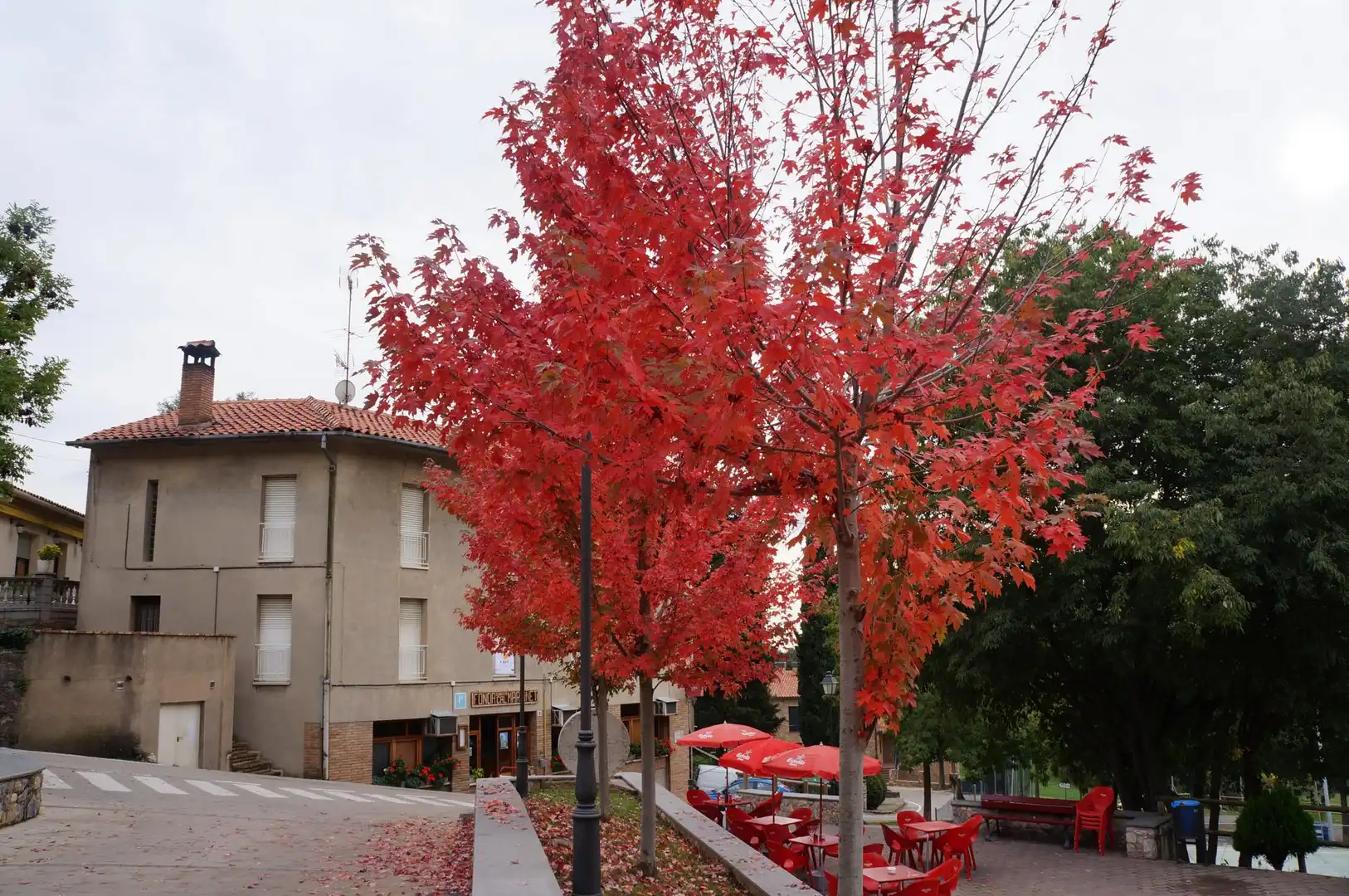 Hotel for sale in de l'Ajuntament, imagen 6