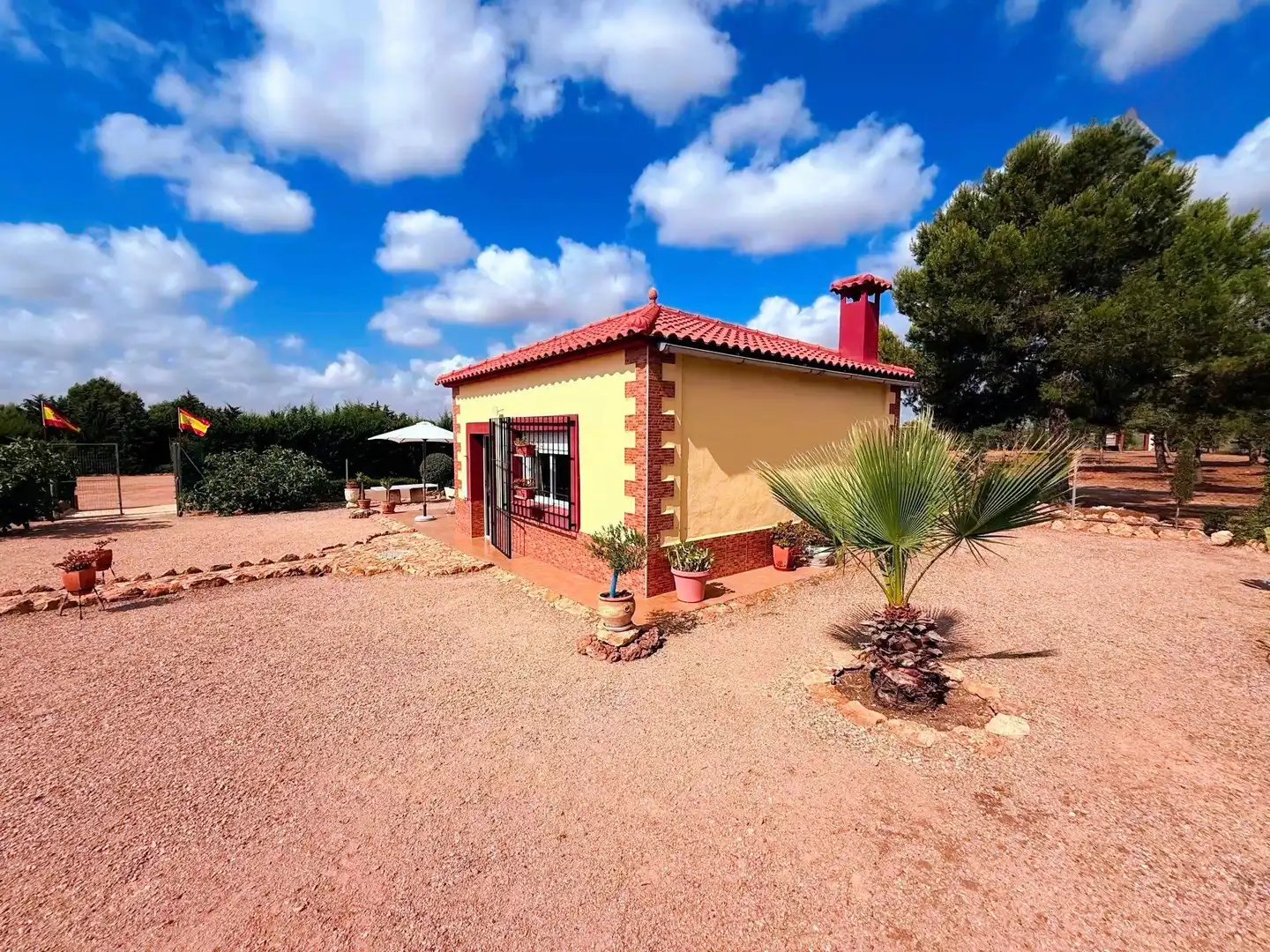 Jardí de Finca rústica en venda en Murcia amb Piscina