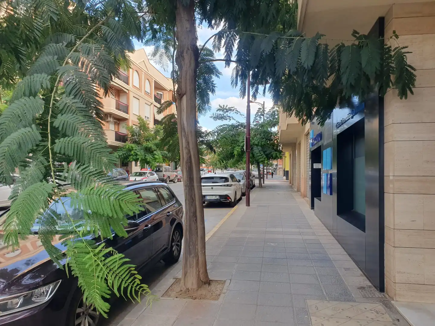 Appartamento con terrazza in vendita a Avenida Pedro de Mendoza y Luján 41, imagen 22