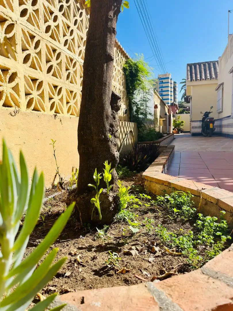 Vista exterior de Casa o chalet en venta en Fuengirola con Aire acondicionado, Jardín privado y Terraza