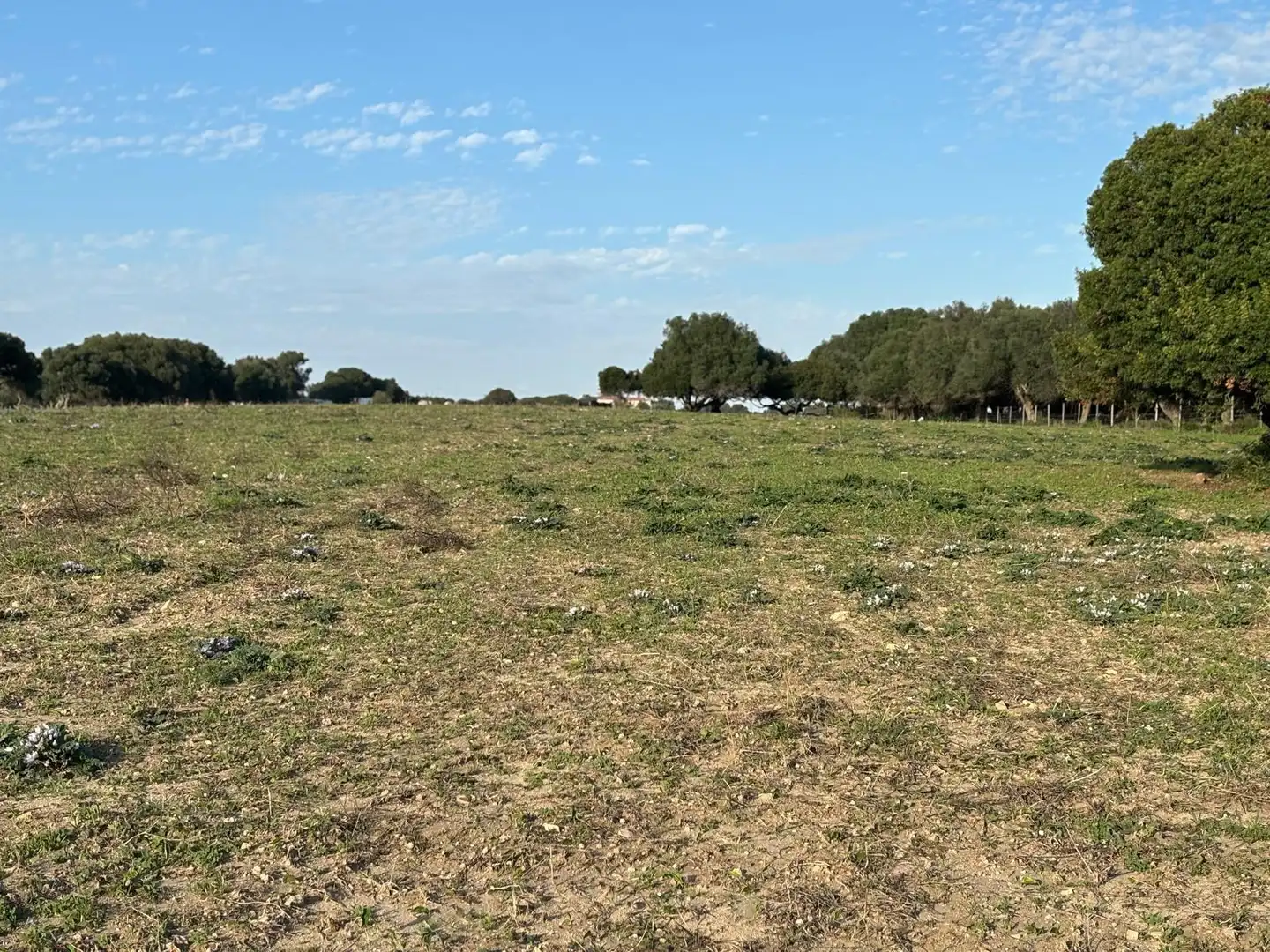 Terreni e lotti in vendita a Vejer, imagen 38