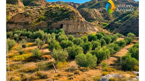 Foto 3 de Finca rústica en venta en Guadix, Granada