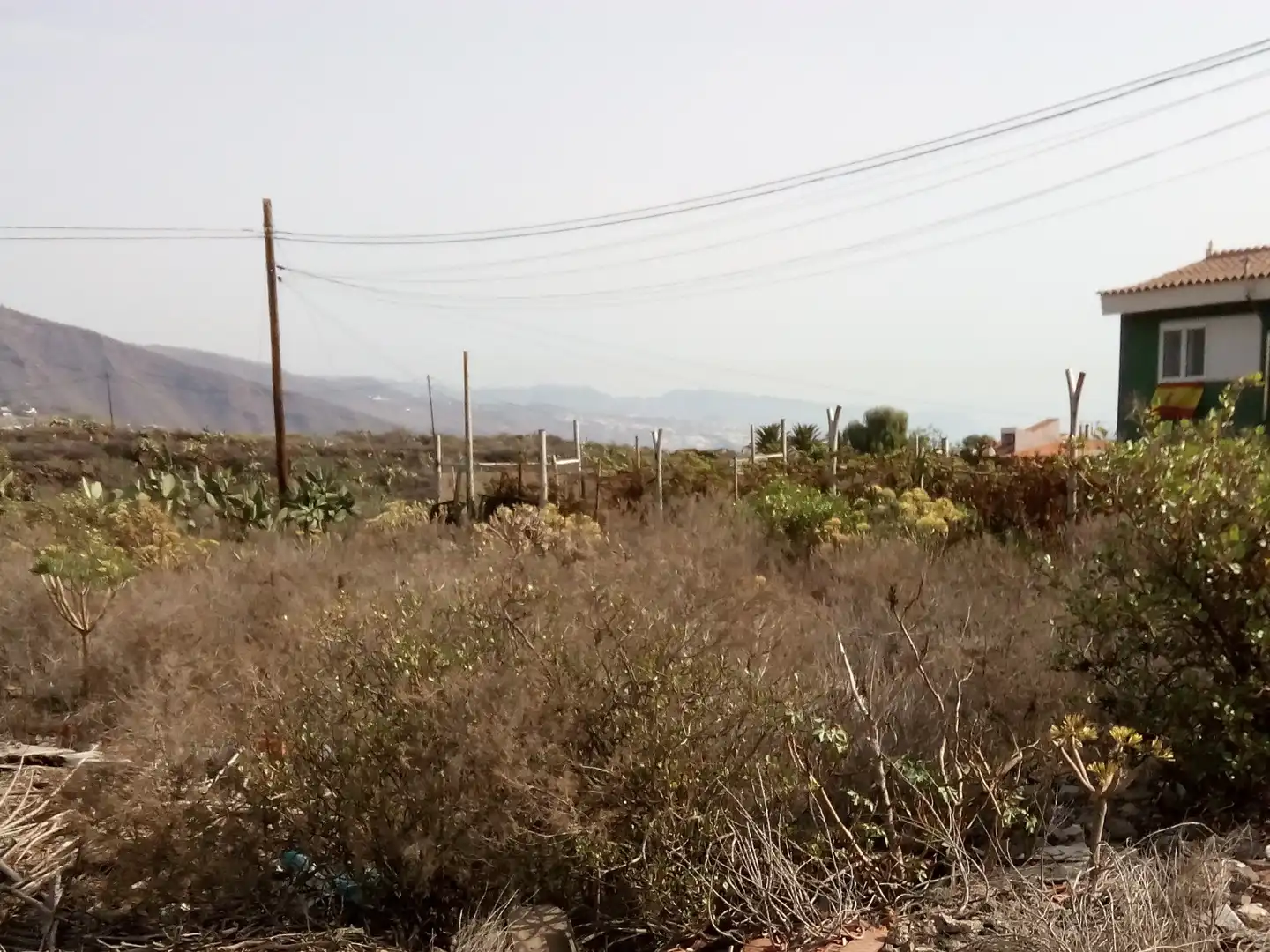 Rural land for sale in Centro, imagen 2