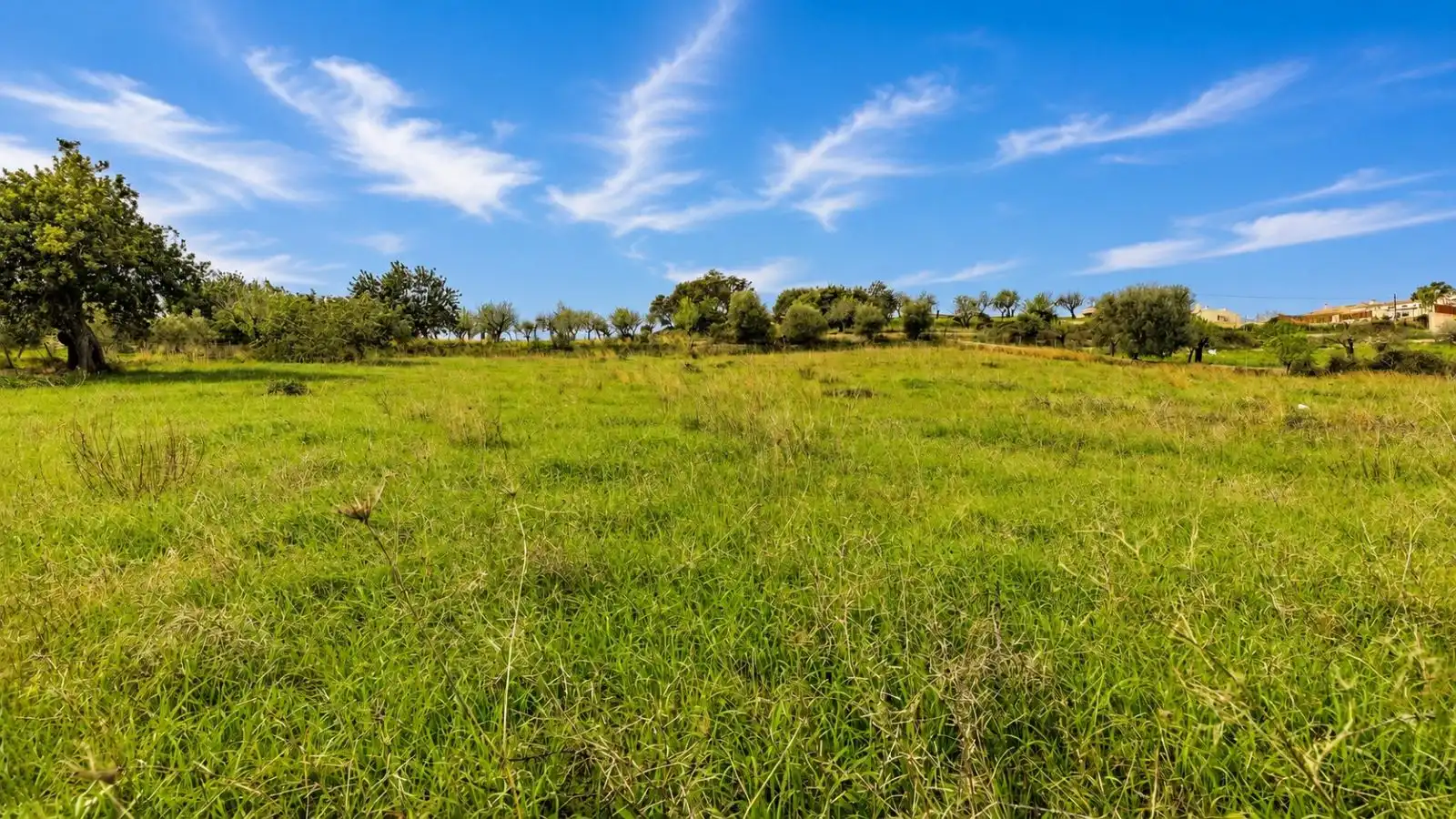 Residential for sale in Selva