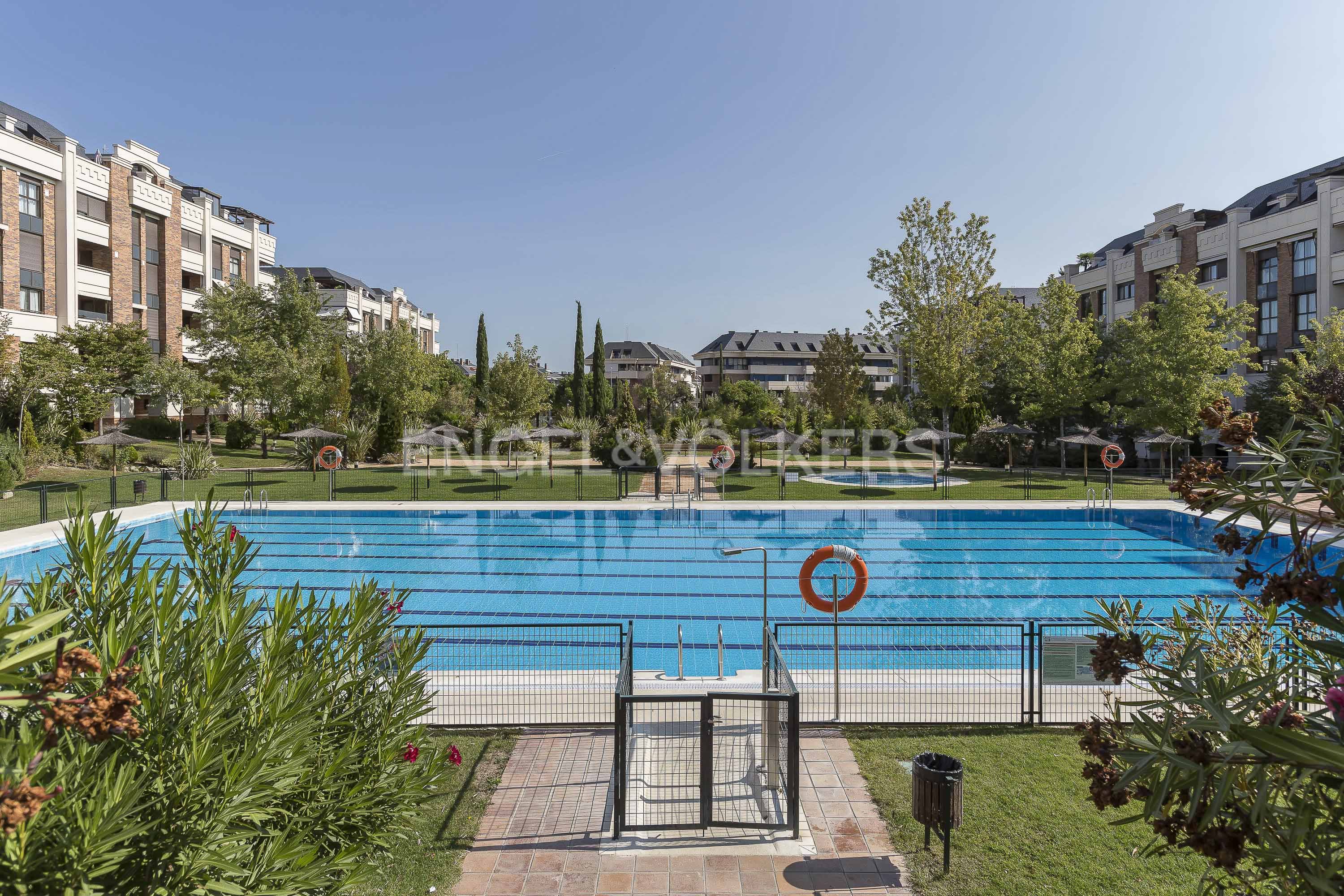 Apartment to rent in Calle Moreras, Zona Monte El Pilar