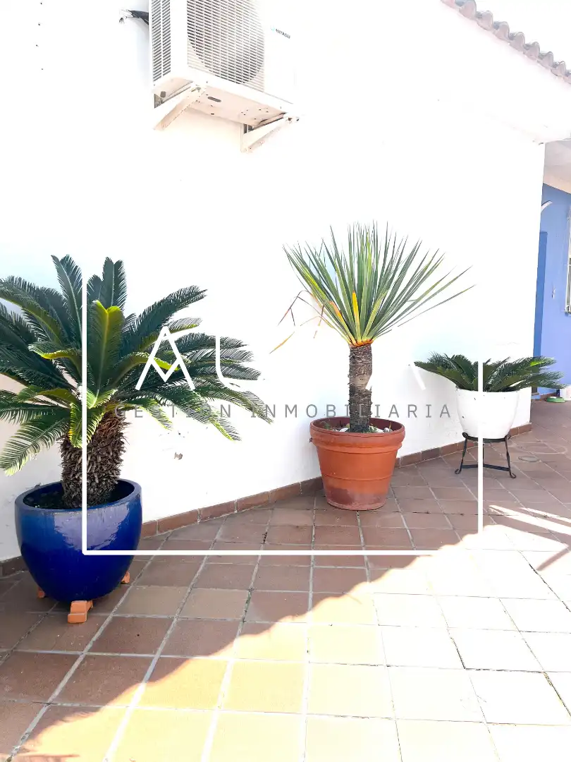 Casa o chalet en venta en El Rompido