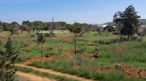 Photo 5 of Land for sale in Es Canar, Sant Carles, Illes Balears