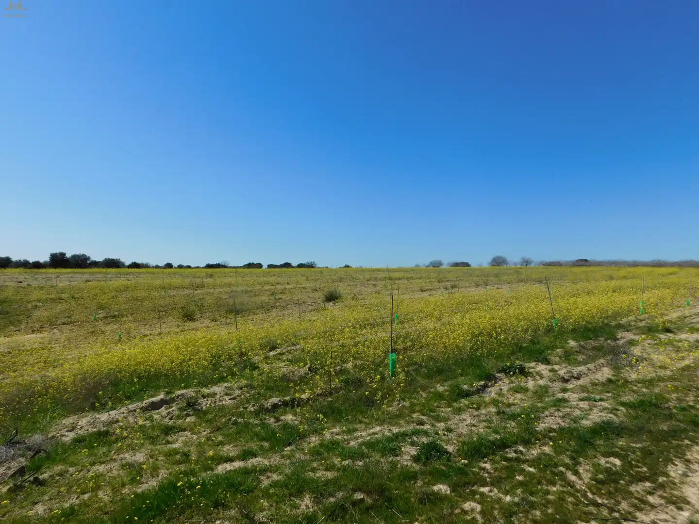 Terreno en venta en Villa del Prado
