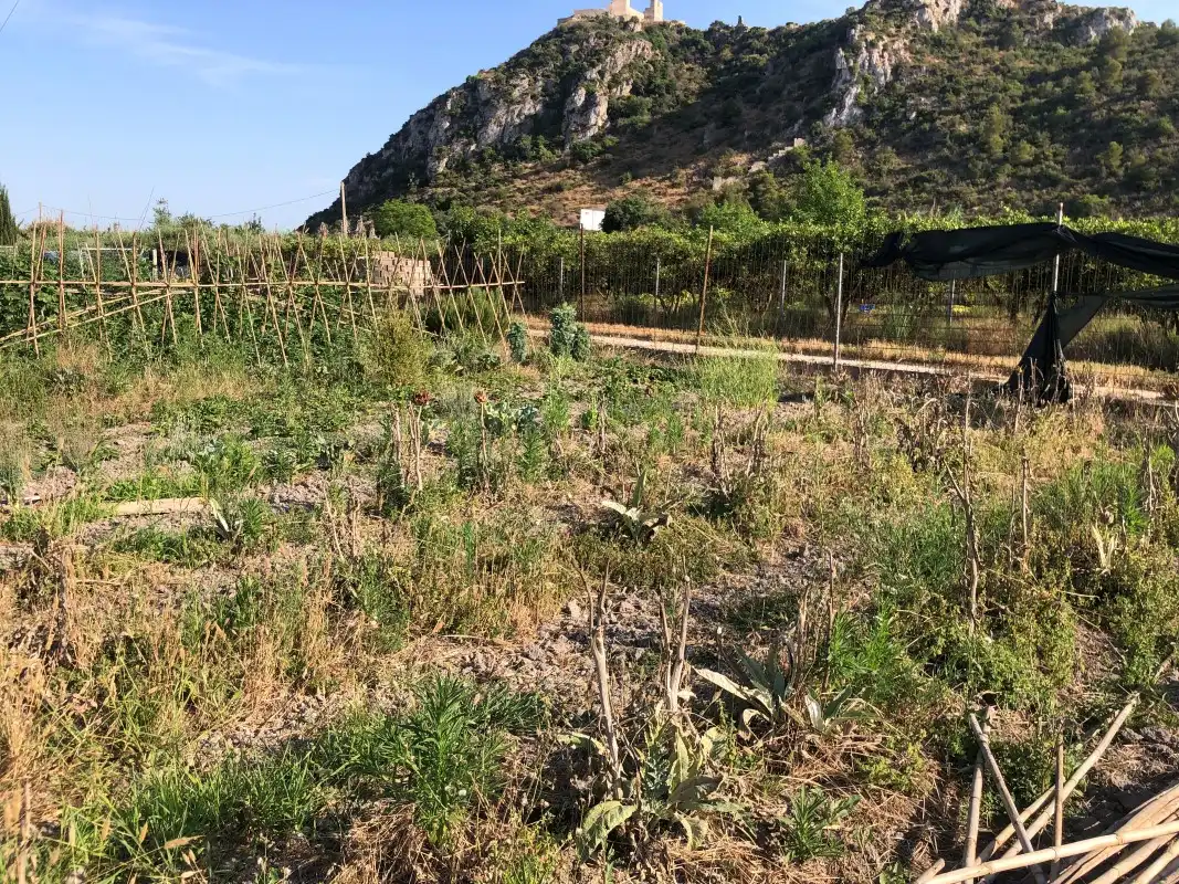 Terreno en venta en Gandia