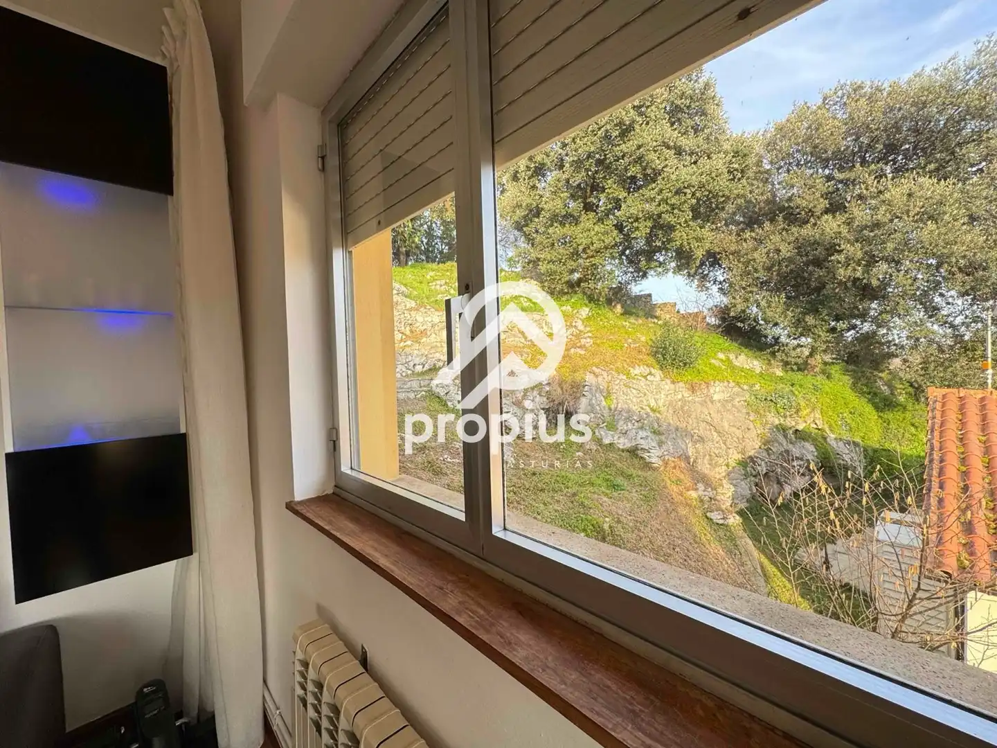 Chalet en venta en Celoriu, imagen 15