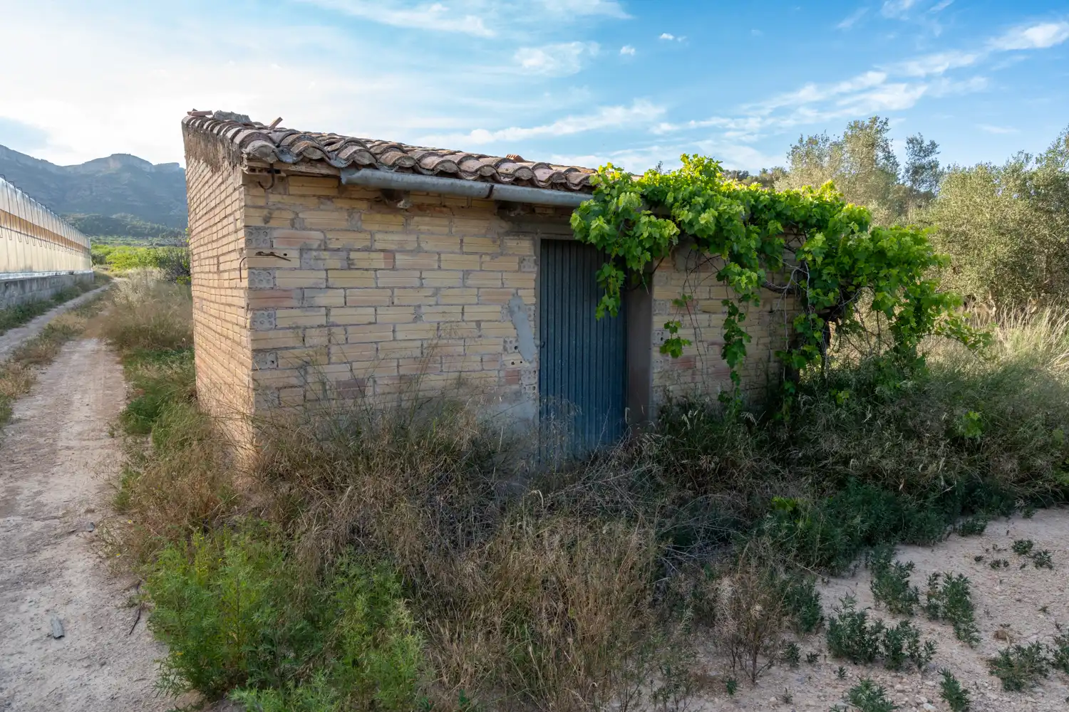 Exterior view of Land for sale in El Pinell de Brai