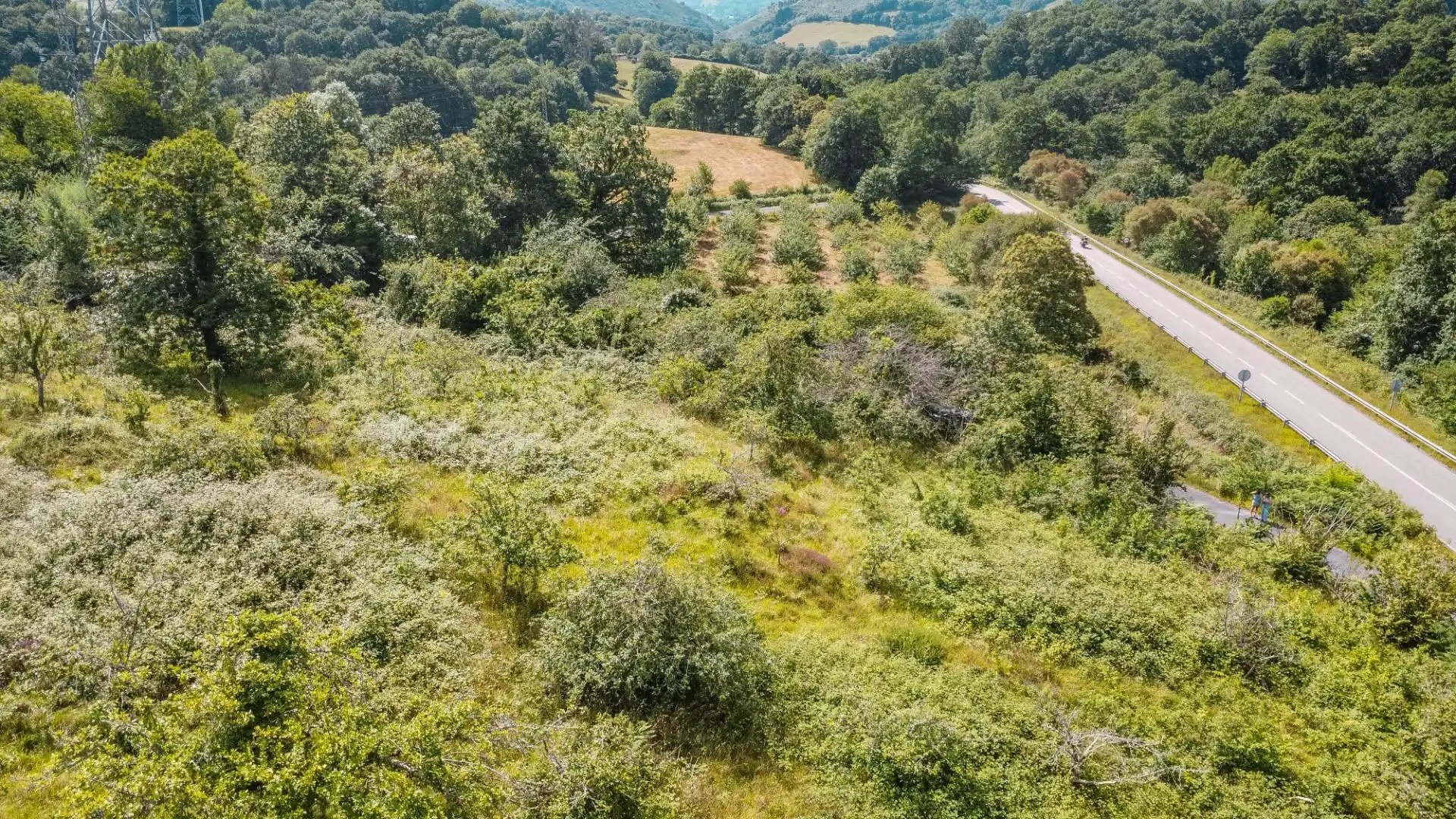 Rural land for sale in del pareo, imagen 37
