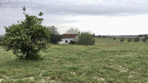 Photo 2 of Country house for sale in Almonte ciudad, Almonte