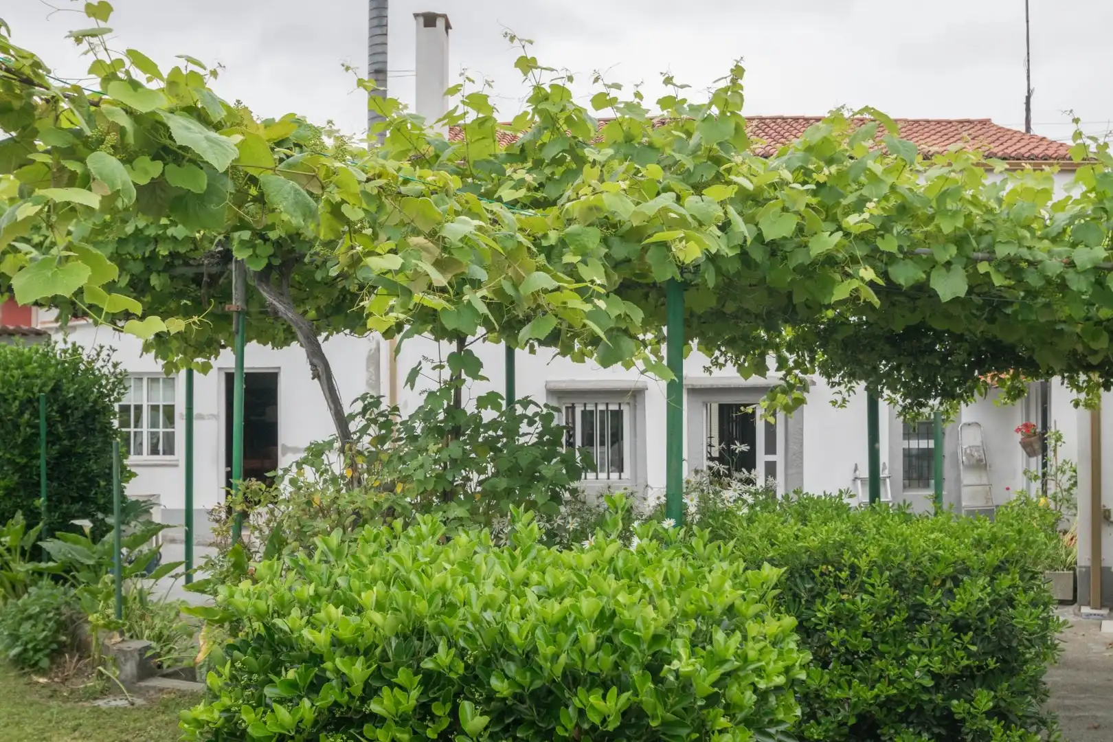 Vista exterior de Casa o chalet en venta en Culleredo con Calefacción, Jardín privado y Parquet