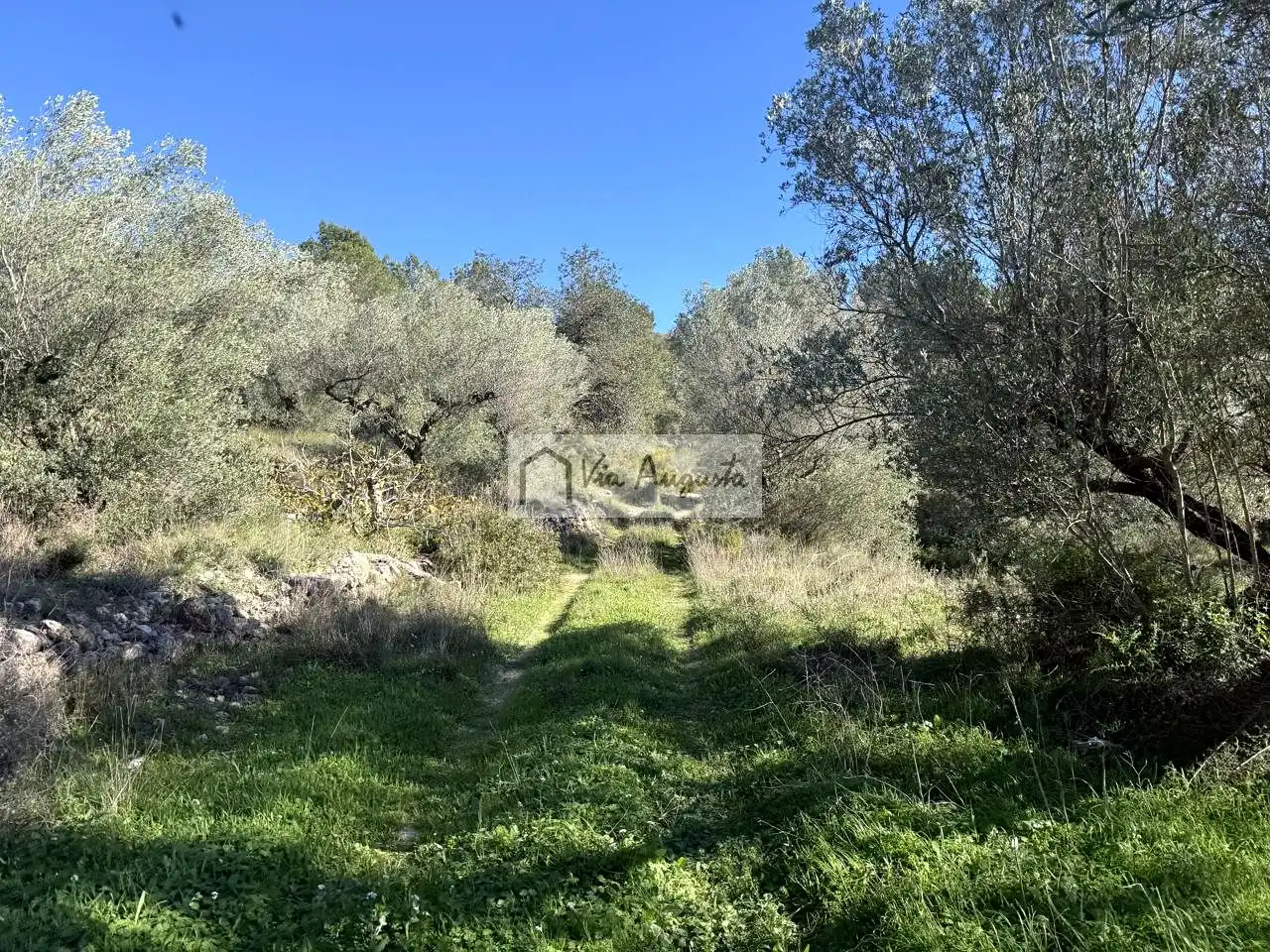 Terreno rustico in vendita a Bassa d'en Baró, imagen 38