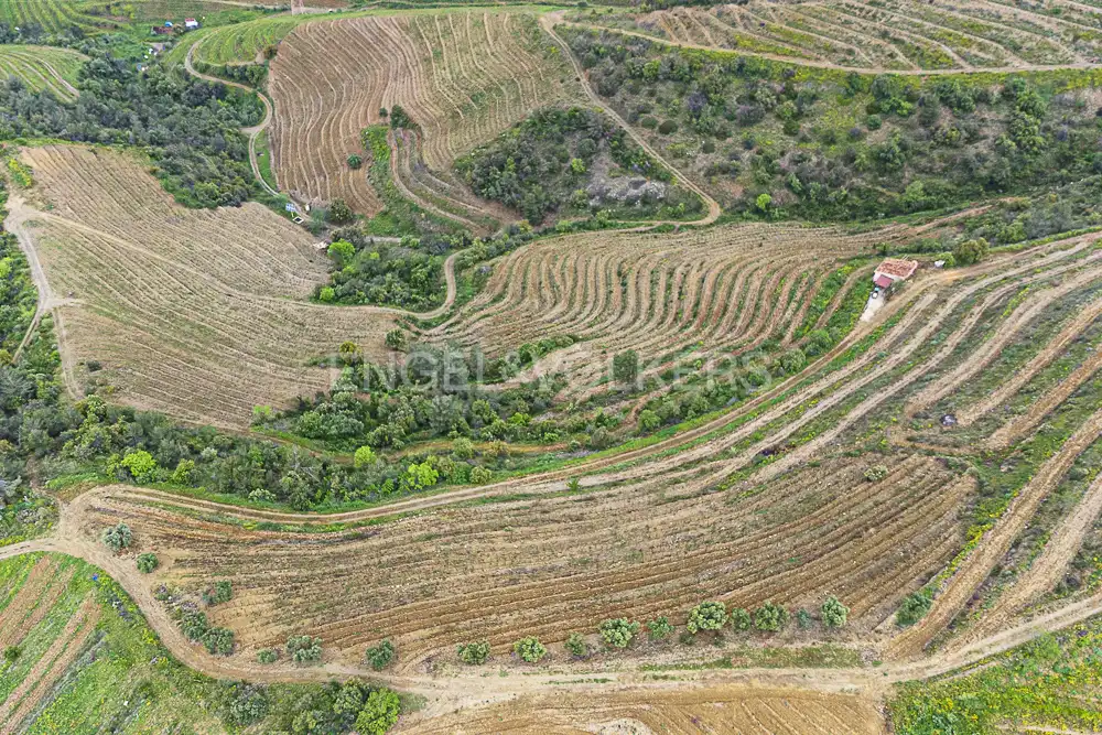 Residential land for sale in La Pobla de Claramunt, imagen 5
