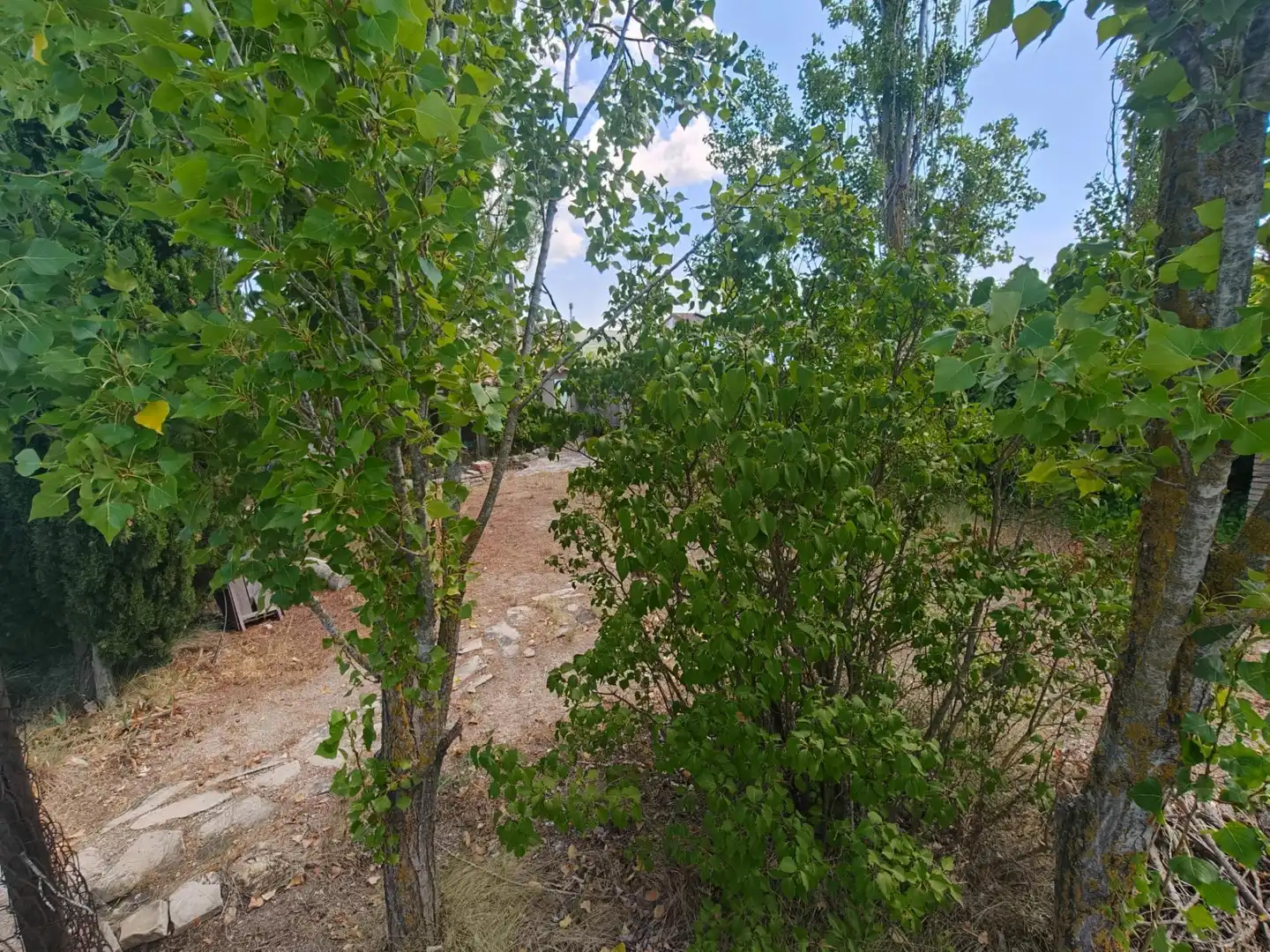 Casa con piscina en venta en CAL PONS, imagen 76