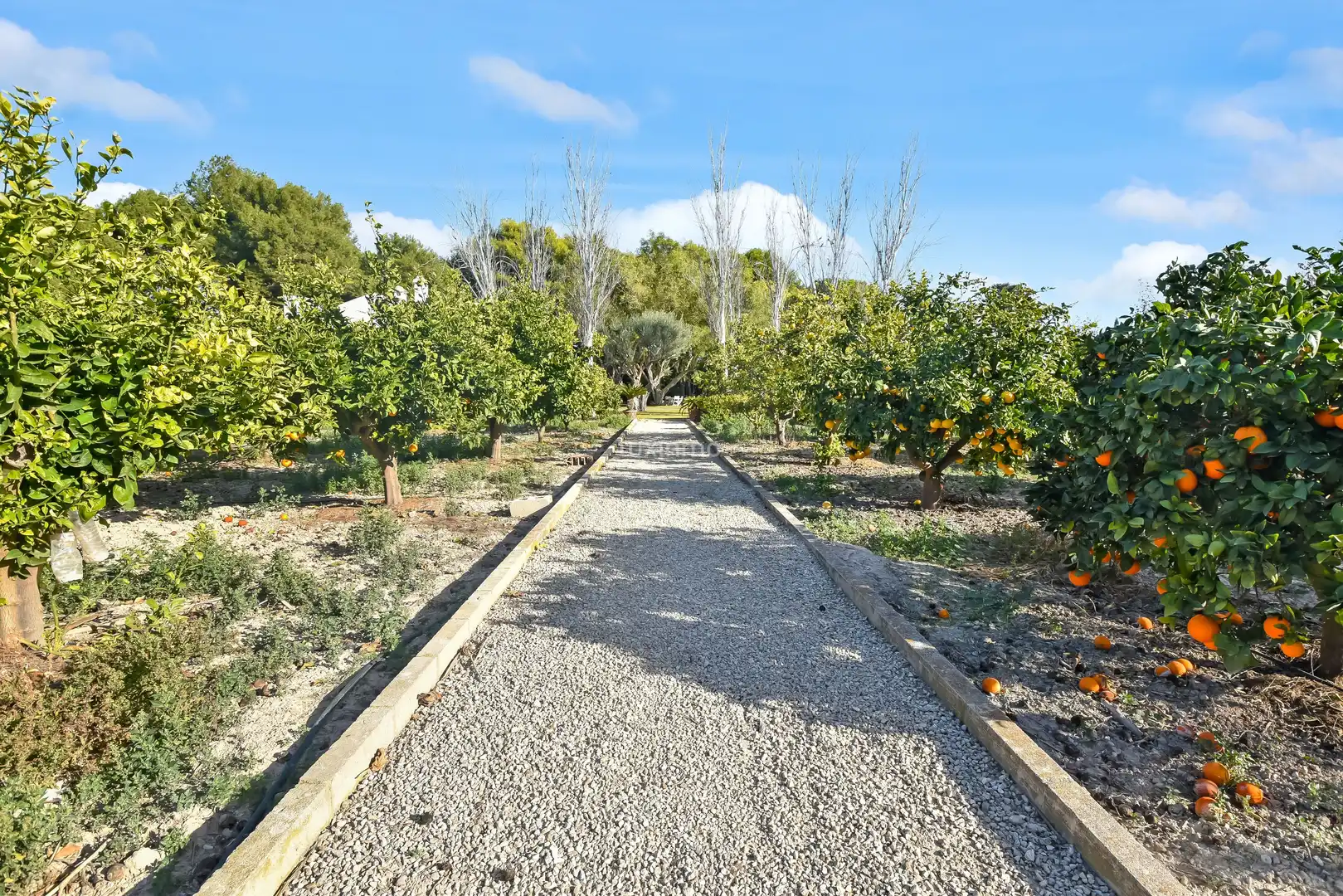 Jardí de Casa o xalet en venda en Alicante / Alacant amb Calefacció, Terrassa i Traster