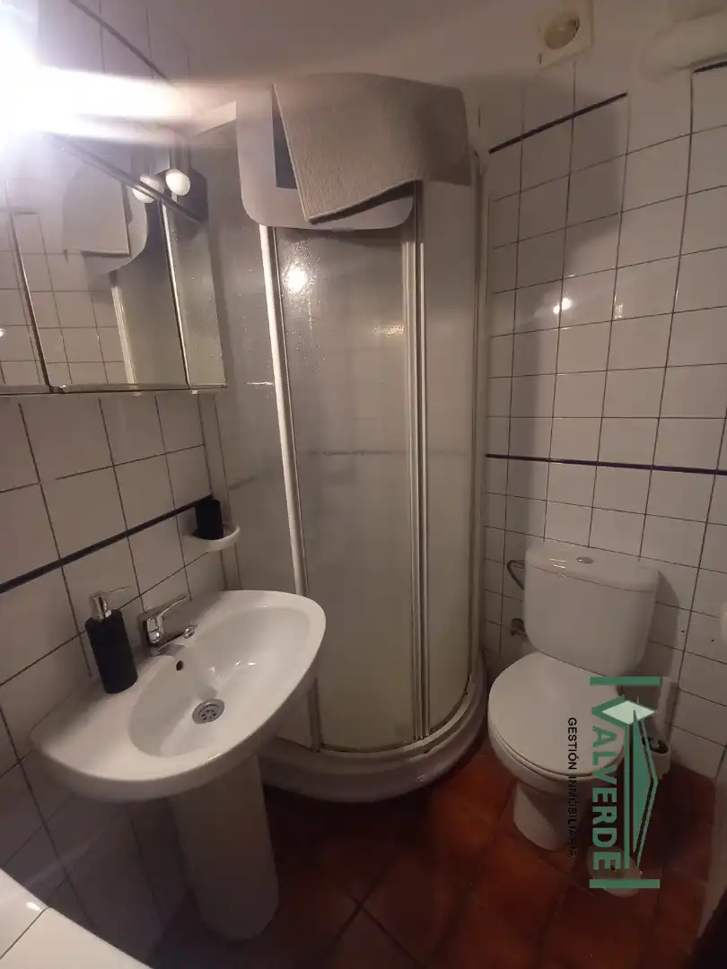 Studio with terrace to rent in Plaza de Gracia, imagen 8