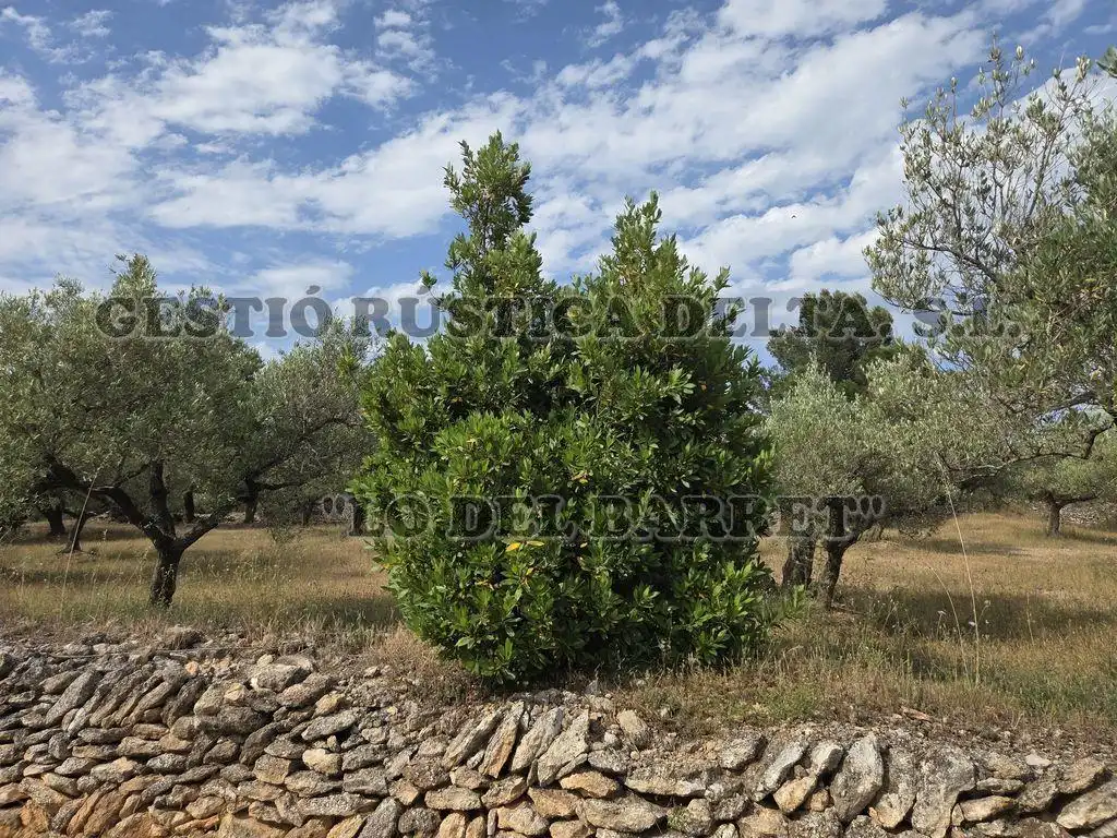 Finca rústica en venda en El Perelló