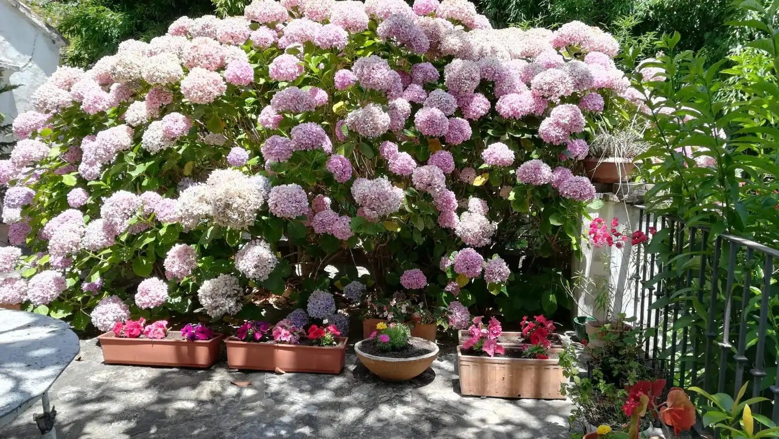 Jardí de Casa o xalet en venda en Algeciras