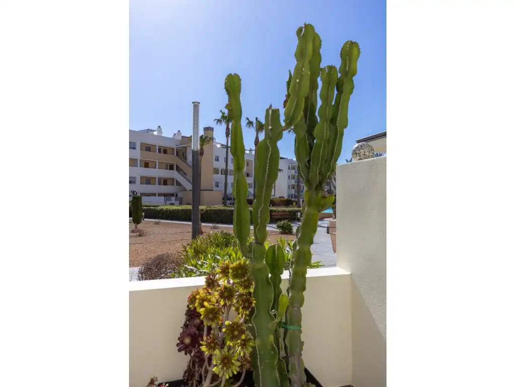 Apartament amb piscina en venda a Carrer De sa Punta des Pinet, imagen 15