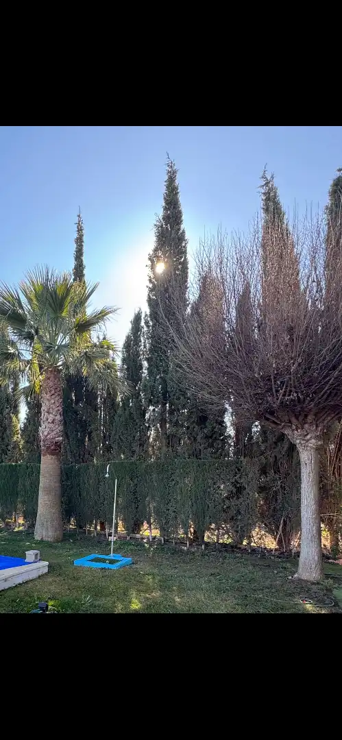 Jardí de Residencial en venda en Antequera