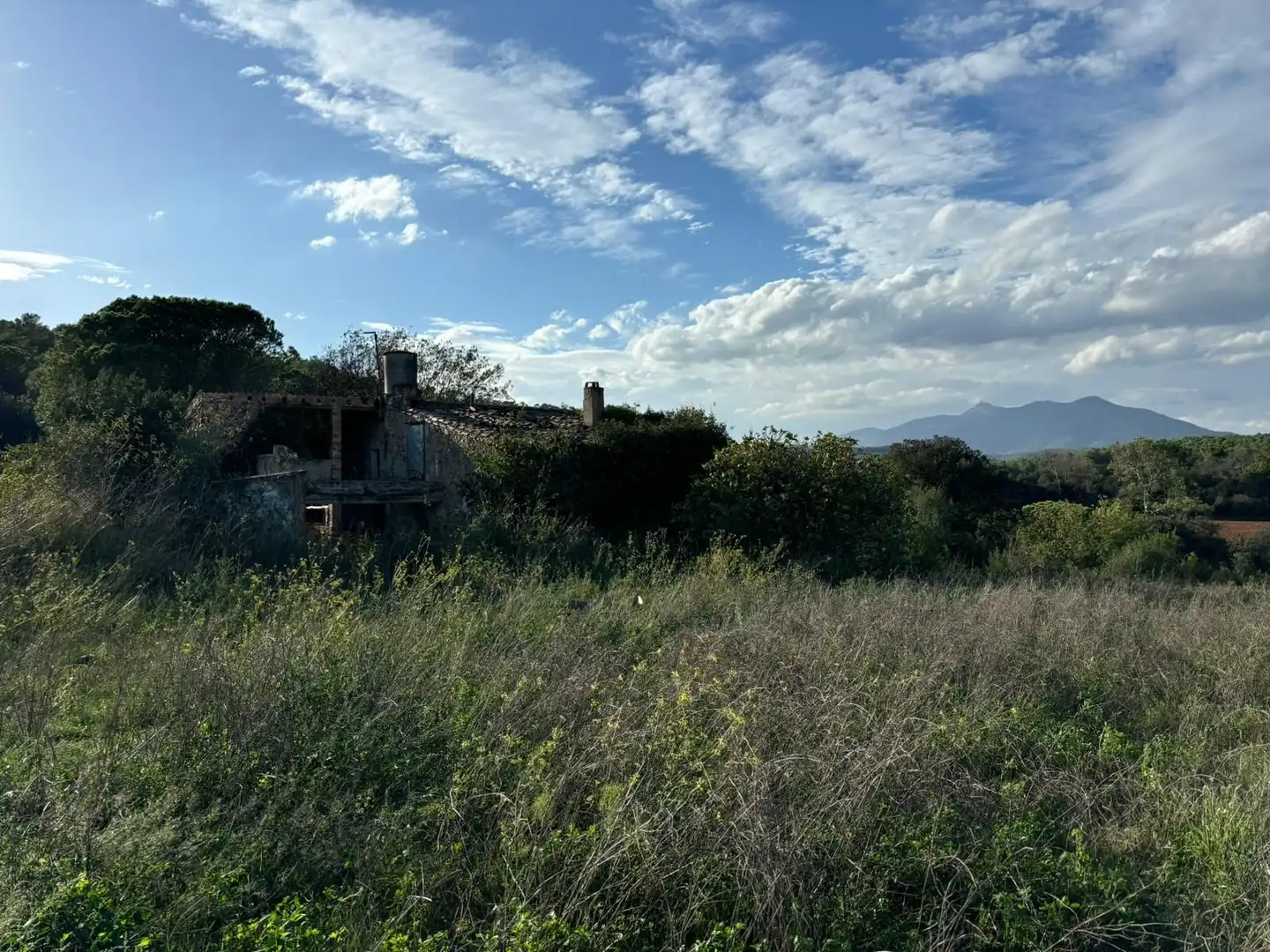 Rural land for sale in Crespià, imagen 6