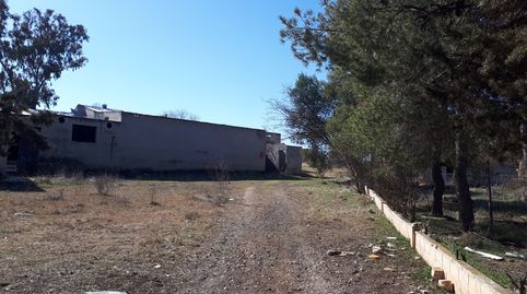 Tierra secano con edificaciones industriales. Superficie terreno 1Ha., immagine 3