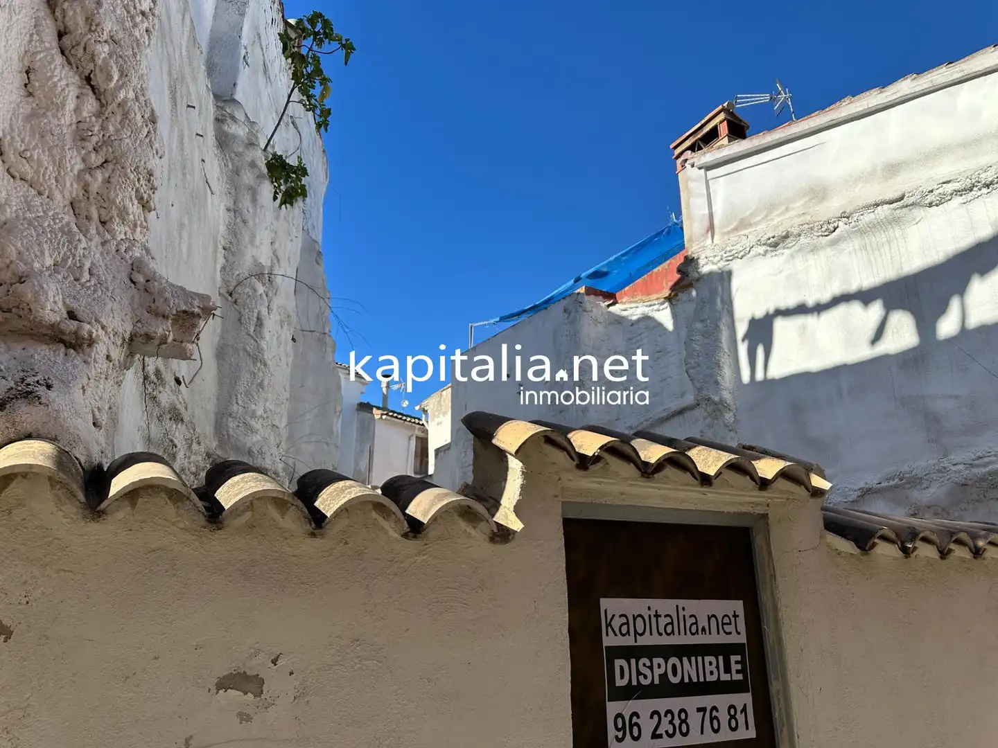 Terreni e lotti in vendita a Albaida