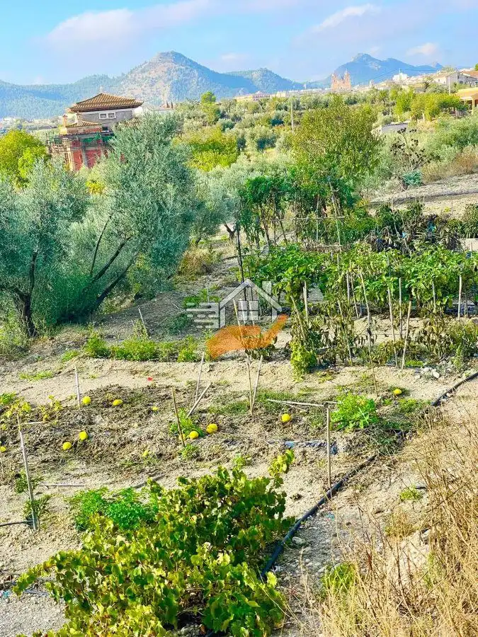 Country homes for sale in Vélez-Rubio