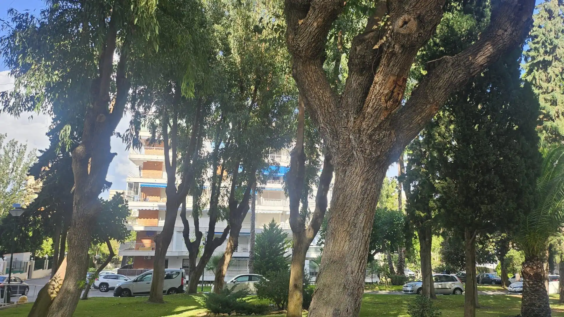 Pis amb piscina en venda a Playa de San Juan - El Cabo de las Huertas, imagen 19