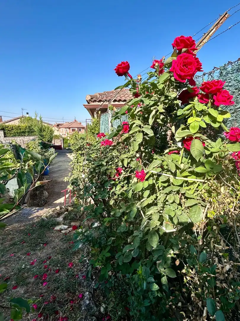 Jardín de Casa o chalet de alquiler en Modúbar de la Emparedada con Calefacción, Terraza y Balcón