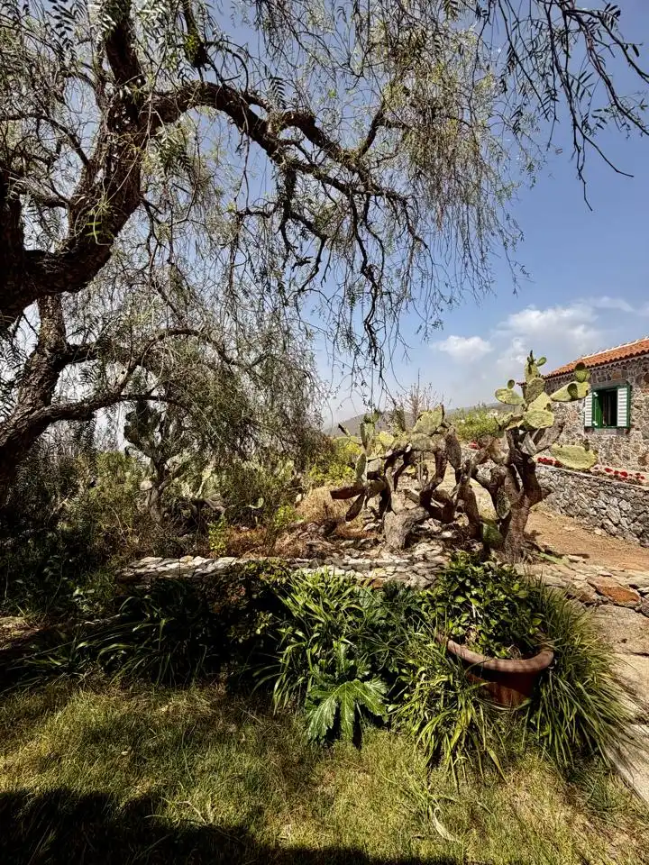 Jardí de Finca rústica en venda en Adeje amb Jardí privat i Terrassa