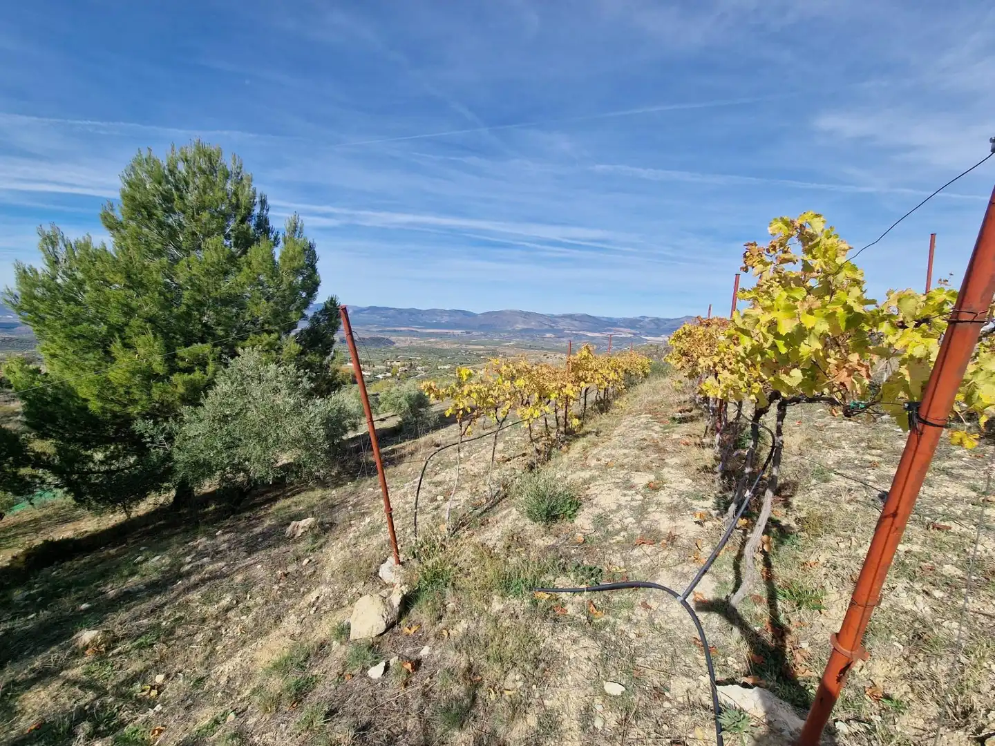 Maison rustique avec jardin à vendre à Cogollos de la Vega, imagen 62