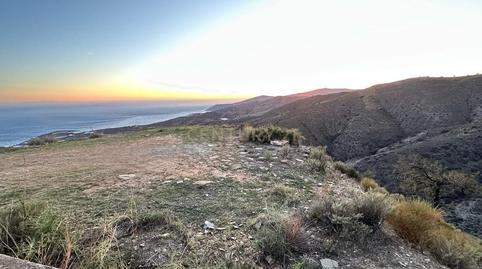 Photo 2 of Land for sale in C/ Paraje el Cura, Sn, Polopos pueblo, Granada