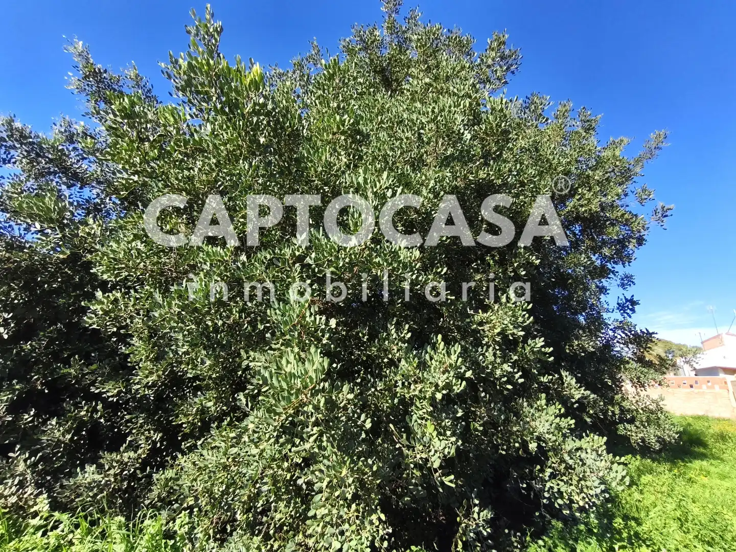 Finca rústica en venta en Cartagena con Jardín privado